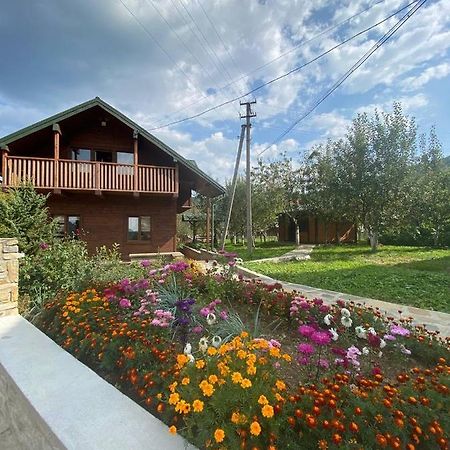 Анничка Villa Khorotseve Buitenkant foto