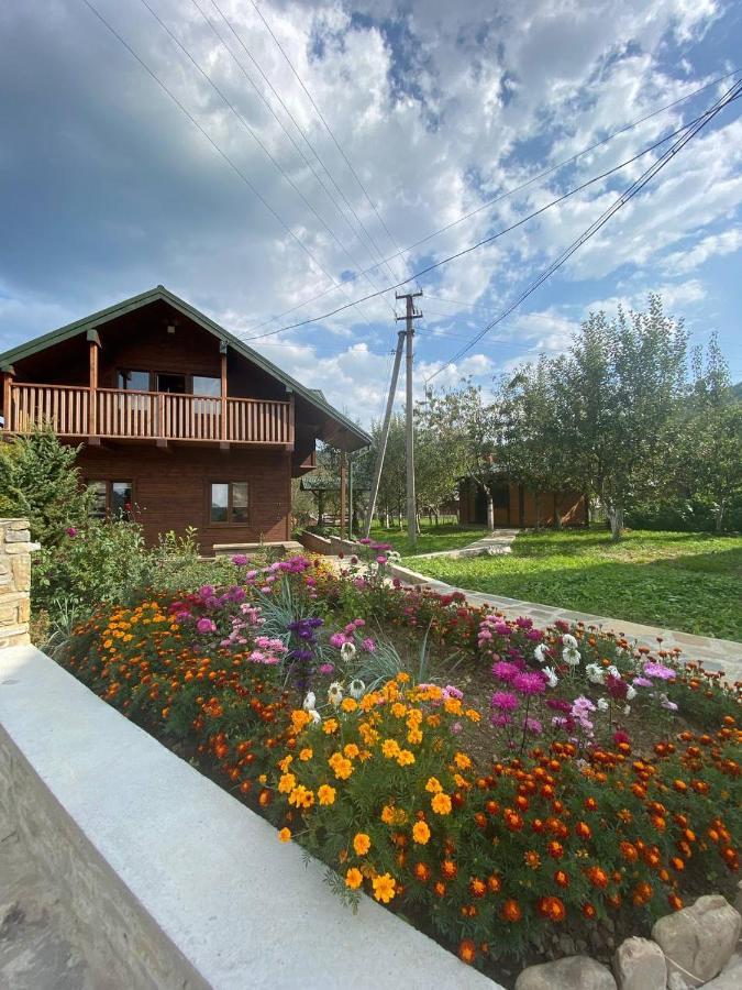 Анничка Villa Khorotseve Buitenkant foto
