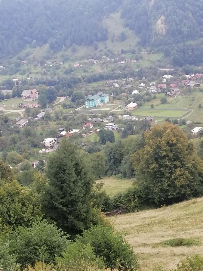 Анничка Villa Khorotseve Buitenkant foto
