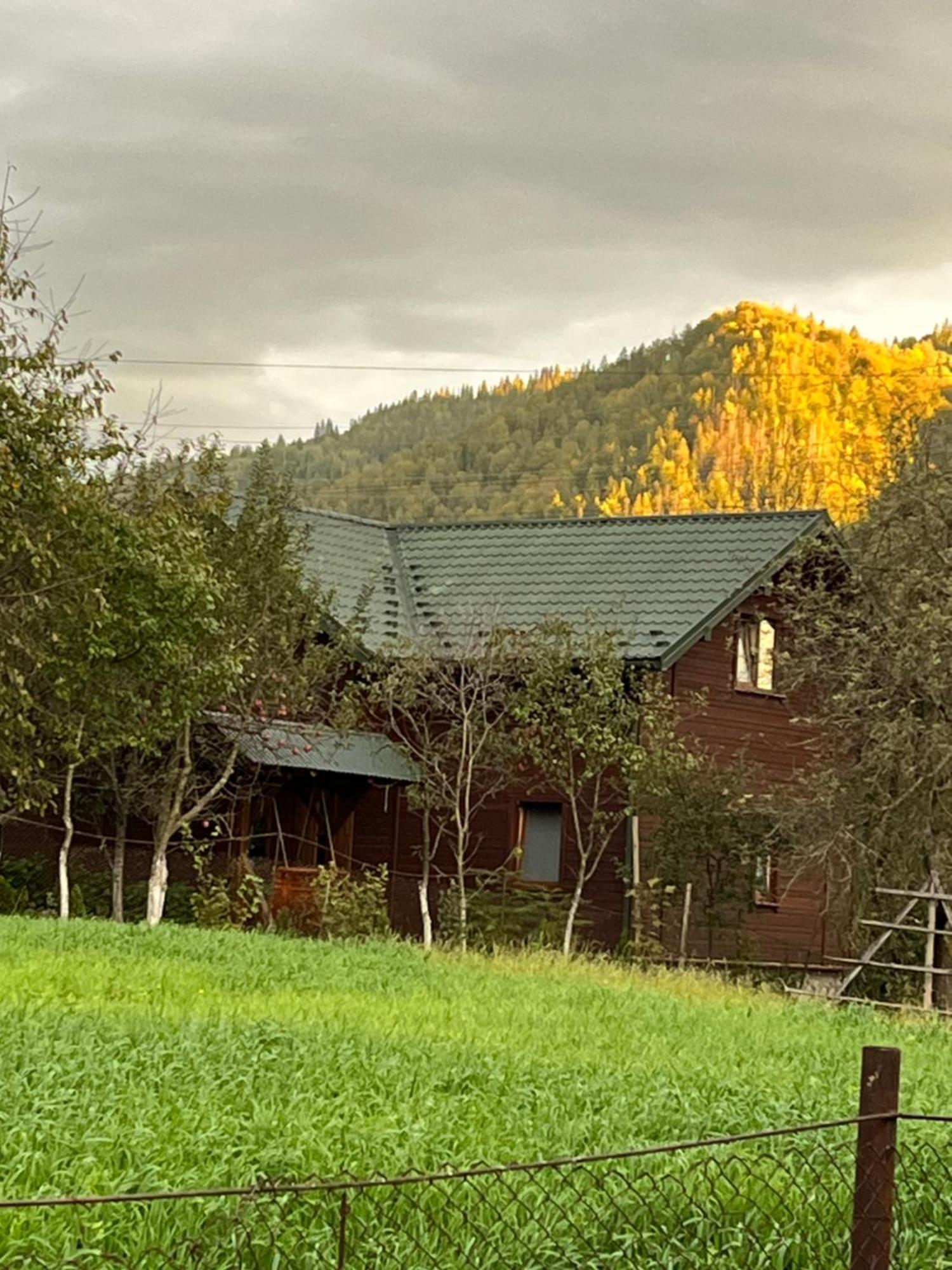 Анничка Villa Khorotseve Buitenkant foto