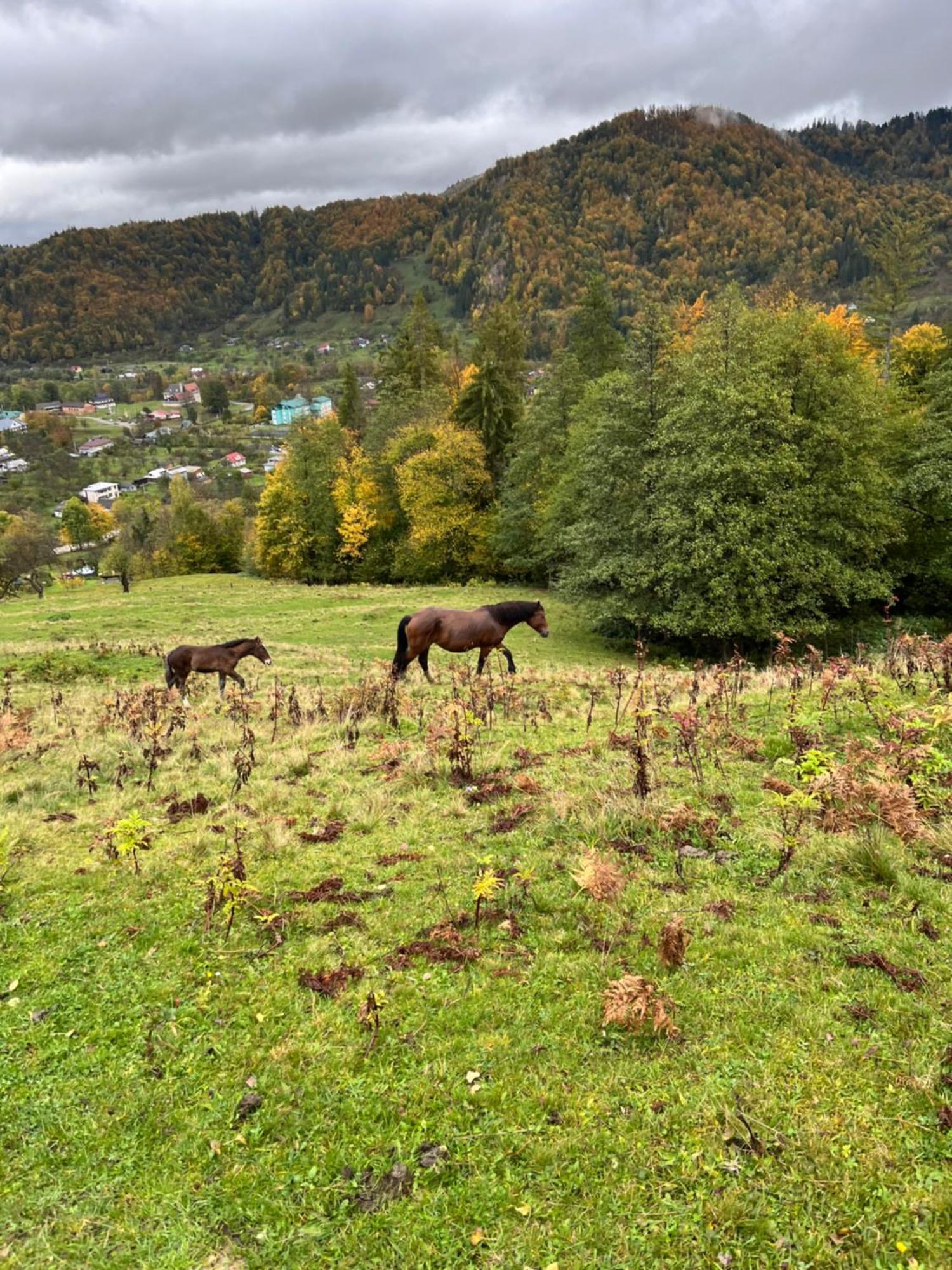 Анничка Villa Khorotseve Buitenkant foto